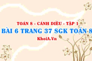 Bài 6 trang 37 SGK Toán 8 tập 1 Cánh Diều